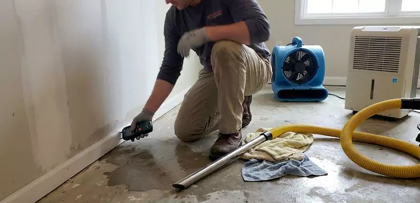 Professional Water Damage Floor Repair Services in Talmo, GA